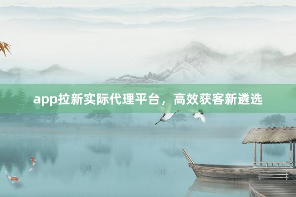 app拉新实际代理平台，高效获客新遴选