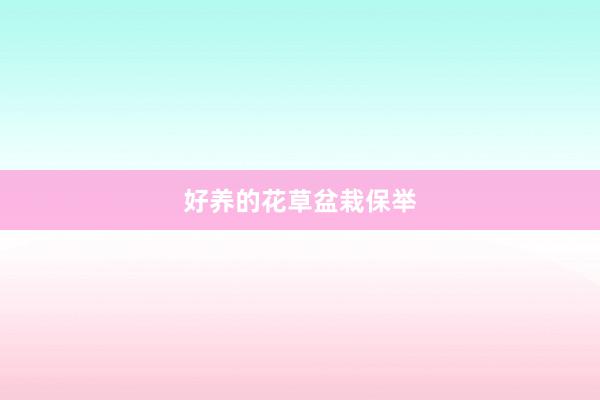 好养的花草盆栽保举