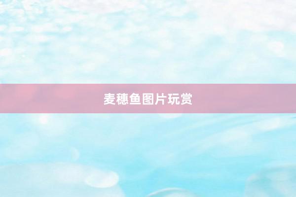 麦穗鱼图片玩赏